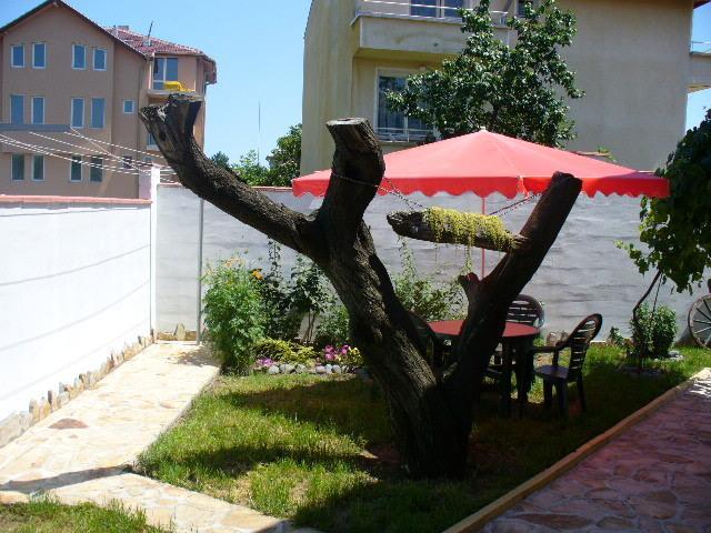 Guest House Alex Chernomorets Exterior photo
